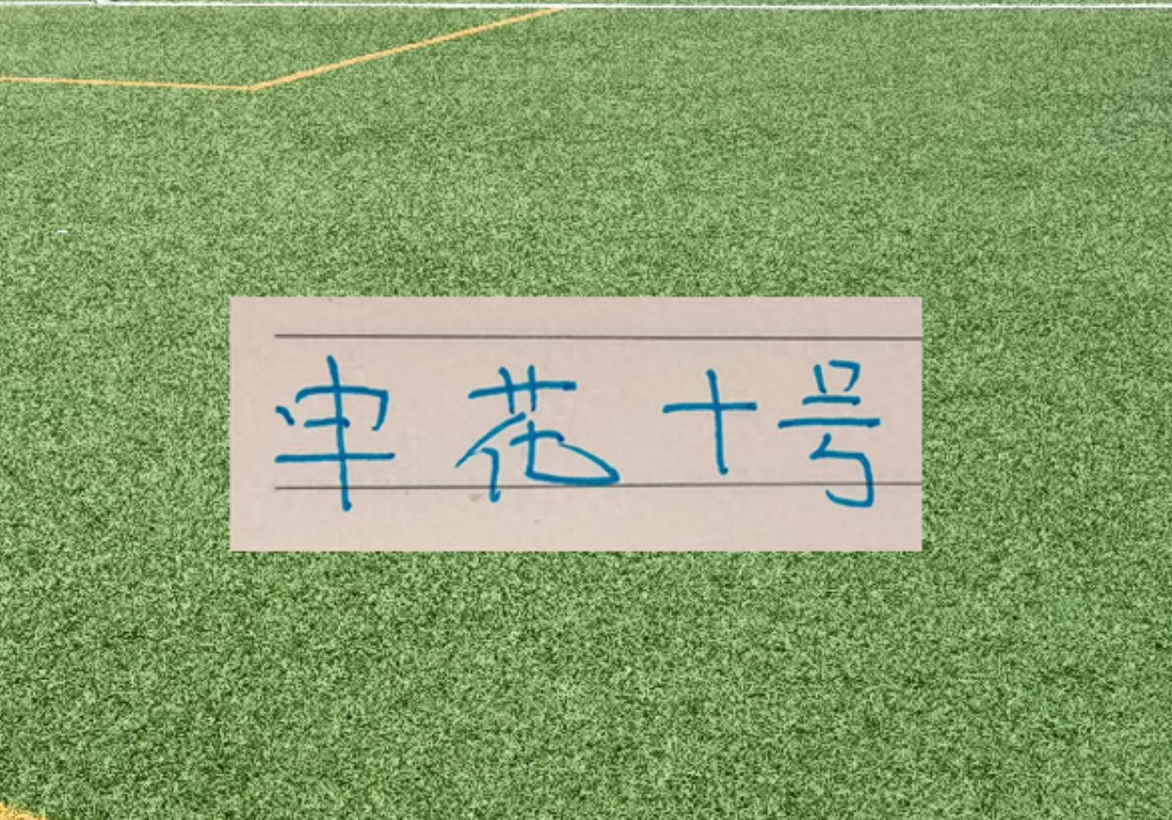 kaiyun-谢天谢地谢鹏飞！拉唐要敲木鱼了 今年代表申花有2黄1红了